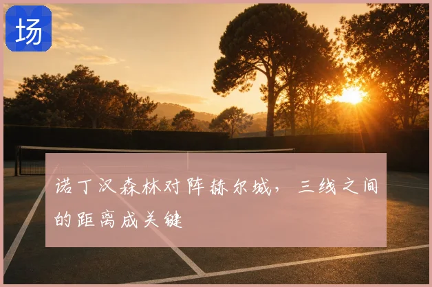诺丁汉森林对阵赫尔城，三线之间的距离成关键